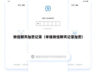 微信聊天加密记录（单独微信聊天记录加密）
