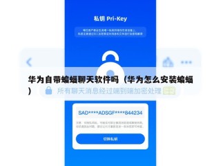 华为自带蝙蝠聊天软件吗（华为怎么安装蝙蝠）
