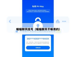 蝙蝠聊天挂号（蝙蝠聊天干嘛用的）