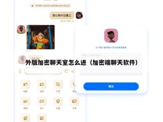 外版加密聊天室怎么进（加密端聊天软件）