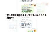 萝卜密聊服务器怎么买（萝卜蜜的功效与作用及图片）