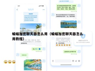 蝙蝠加密聊天器怎么用（蝙蝠加密聊天器怎么用教程）