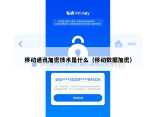 移动通讯加密技术是什么（移动数据加密）