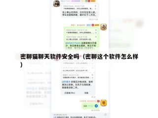密聊猫聊天软件安全吗（密聊这个软件怎么样）