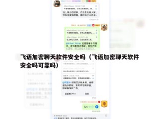 飞语加密聊天软件安全吗（飞语加密聊天软件安全吗可靠吗）
