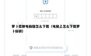 萝卜密聊电脑版怎么下载（电脑上怎么下载萝卜投研）