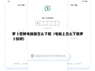 萝卜密聊电脑版怎么下载（电脑上怎么下载萝卜投研）