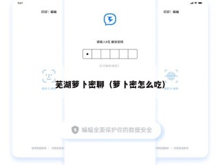 芜湖萝卜密聊（萝卜密怎么吃）