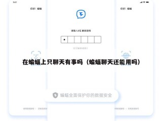在蝙蝠上只聊天有事吗（蝙蝠聊天还能用吗）