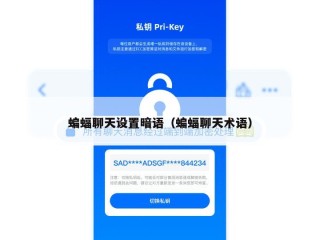 蝙蝠聊天设置暗语（蝙蝠聊天术语）