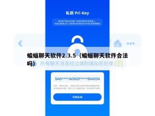 蝙蝠聊天软件2.3.5（蝙蝠聊天软件合法吗）