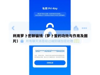 利用萝卜密聊骗钱（萝卜蜜的功效与作用及图片）
