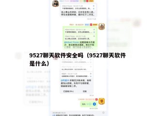 9527聊天软件安全吗（9527聊天软件是什么）