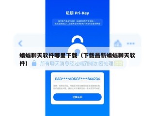 蝙蝠聊天软件哪里下载（下载最新蝙蝠聊天软件）
