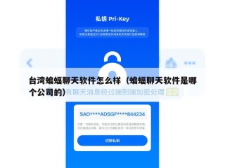 台湾蝙蝠聊天软件怎么样（蝙蝠聊天软件是哪个公司的）