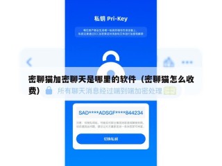 密聊猫加密聊天是哪里的软件（密聊猫怎么收费）