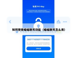如何使用蝙蝠聊天功能（蝙蝠聊天怎么用）