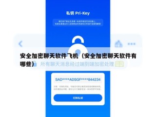 安全加密聊天软件飞机（安全加密聊天软件有哪些）