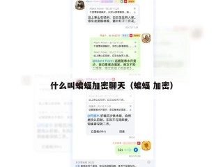 什么叫蝙蝠加密聊天（蝙蝠 加密）