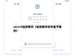 secret加密聊天（加密聊天软件是干嘛的）