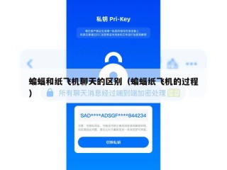 蝙蝠和纸飞机聊天的区别（蝙蝠纸飞机的过程）