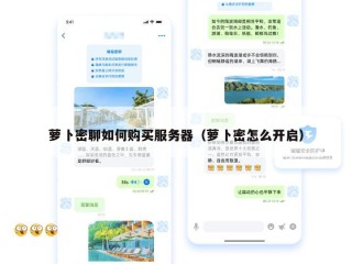 萝卜密聊如何购买服务器（萝卜密怎么开启）