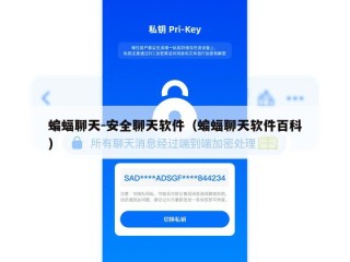 蝙蝠聊天-安全聊天软件（蝙蝠聊天软件百科）