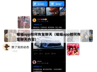 蝙蝠app如何恢复聊天（蝙蝠app如何恢复聊天内容）