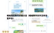 蝙蝠加密聊天的提示音（蝙蝠聊天软件怎样设置声音）
