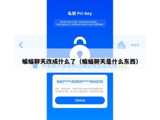 蝙蝠聊天改成什么了（蝙蝠聊天是什么东西）