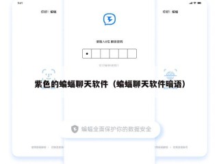 紫色的蝙蝠聊天软件（蝙蝠聊天软件暗语）