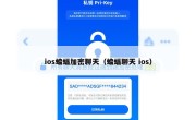 ios蝙蝠加密聊天（蝙蝠聊天 ios）