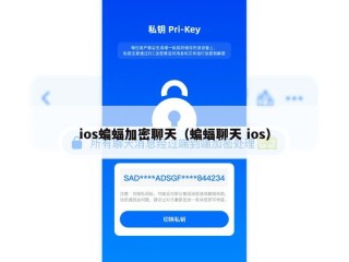 ios蝙蝠加密聊天（蝙蝠聊天 ios）