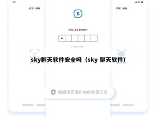 sky聊天软件安全吗（sky 聊天软件）