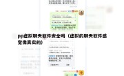 pp虚拟聊天软件安全吗（虚拟的聊天软件感觉像真实的）