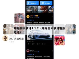 蝙蝠聊天软件1.1.2（蝙蝠聊天软件客服电话）