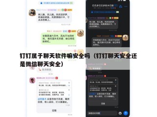 钉钉属于聊天软件嘛安全吗（钉钉聊天安全还是微信聊天安全）