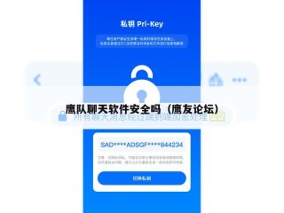 鹰队聊天软件安全吗（鹰友论坛）