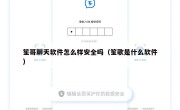 笙哥聊天软件怎么样安全吗（笙歌是什么软件）