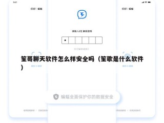 笙哥聊天软件怎么样安全吗（笙歌是什么软件）