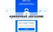 皮皮聊天软件安全吗（皮皮平台在哪里）
