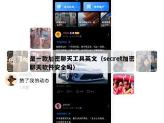是一款加密聊天工具英文（secret加密聊天软件安全吗）