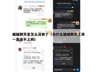 蝙蝠聊天室怎么没有了（为什么蝙蝠聊天工具一直连不上网）