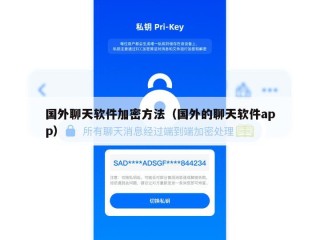 国外聊天软件加密方法（国外的聊天软件app）