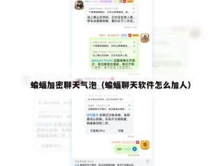 蝙蝠加密聊天气泡（蝙蝠聊天软件怎么加人）