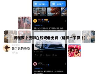 揭秘萝卜密聊在线观看免费（讲解一下萝卜）