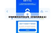好嗨哟聊天软件安全吗（好嗨哟网络含义）