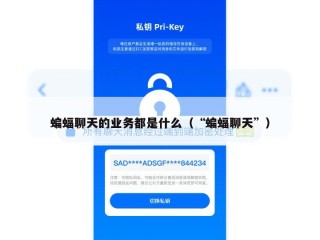 蝙蝠聊天的业务都是什么（“蝙蝠聊天”）