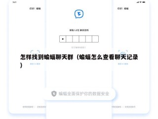 怎样找到蝙蝠聊天群（蝙蝠怎么查看聊天记录）