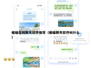 蝙蝠在线聊天软件推荐（蝙蝠聊天软件叫什么）